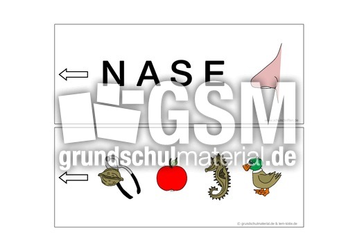 Nase.pdf
